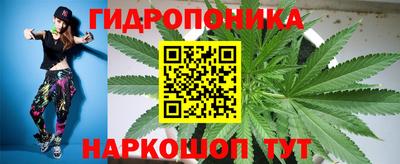apvp Заволжье
